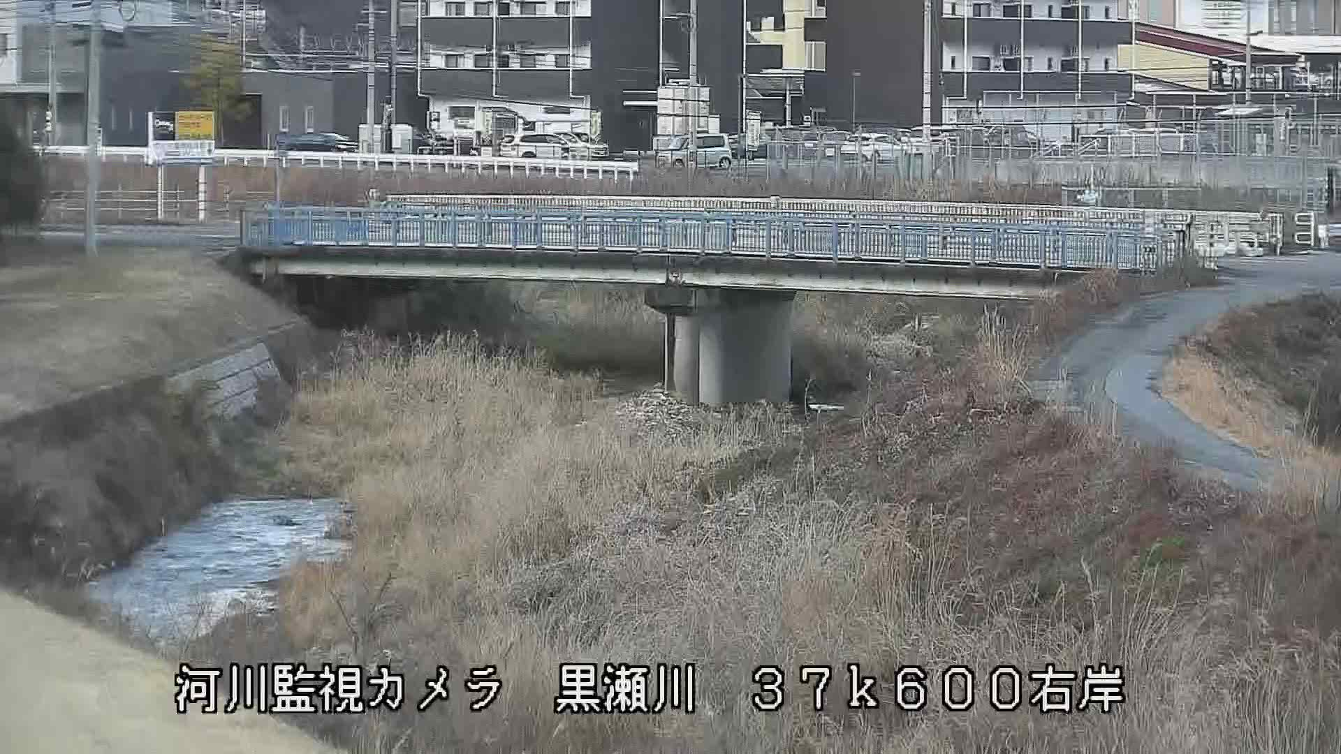 黒瀬川河川監視カメラ（東広島）の平常時画像