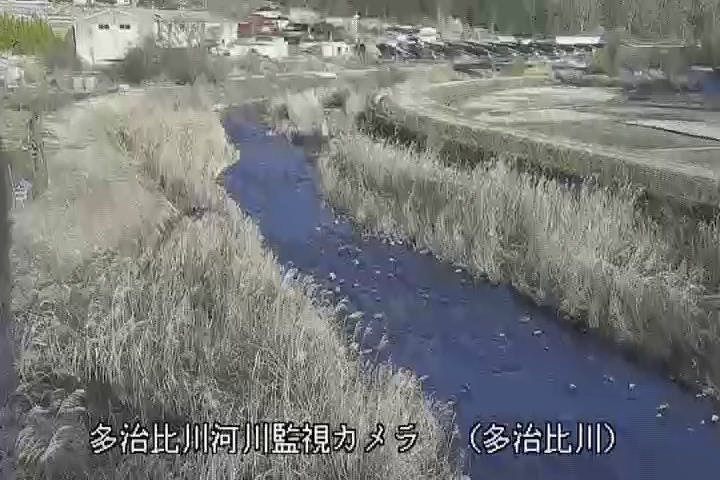 多治比川河川監視カメラの平常時画像